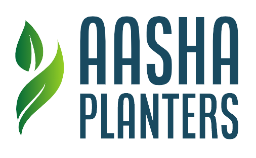 ASHA PLANTERS