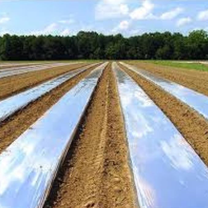 Black Mulching Sheet – 3.25 ft x 400 m thumbnail